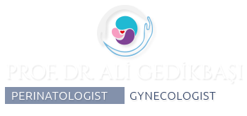Prof. Dr. Ali Gedikbaşı | Perinatologist, Gynecologist