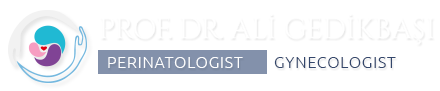 Prof. Dr. Ali Gedikbaşı | Perinatologist, Gynecologist
